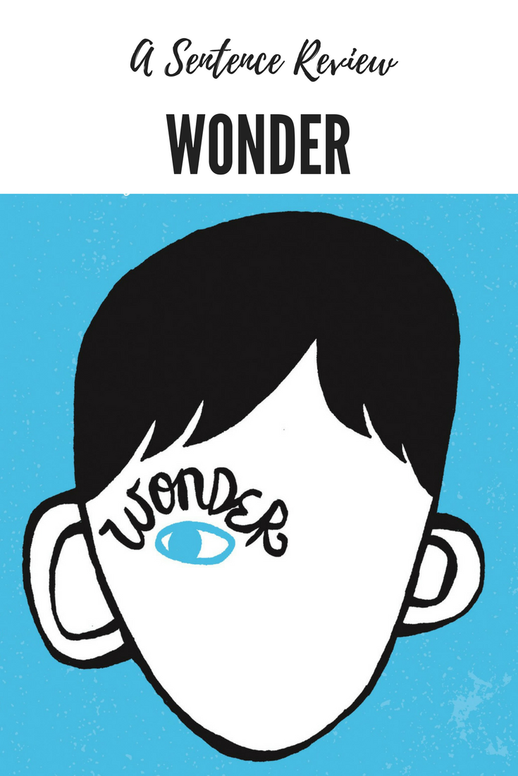 Wonder A Sentence Review